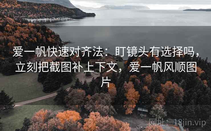 爱一帆快速对齐法：盯镜头有选择吗，立刻把截图补上下文，爱一帆风顺图片